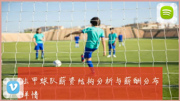 法甲球队薪资结构分析与薪酬分布详情