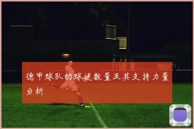 德甲球队的球迷数量及其支持力量分析