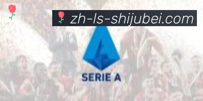 世界杯赛程表合作伙伴